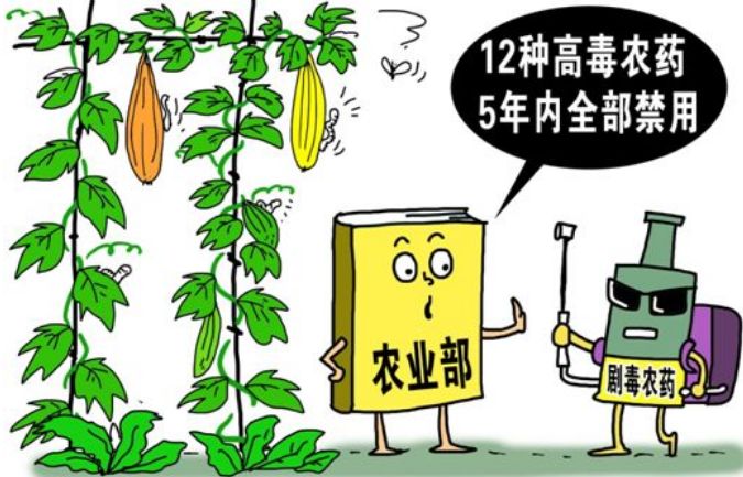 農(nóng)殘檢測(cè)儀器引導(dǎo)園林水果種植
