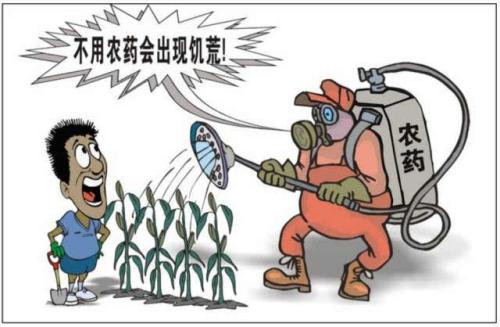 為什么蕹菜的農(nóng)殘含量高？