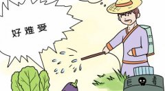 農(nóng)殘檢測儀！食品安全檢測中不可少的一環(huán)