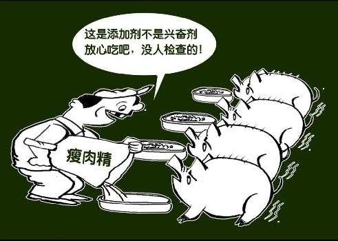 土雞蛋一天攝入多少合適？