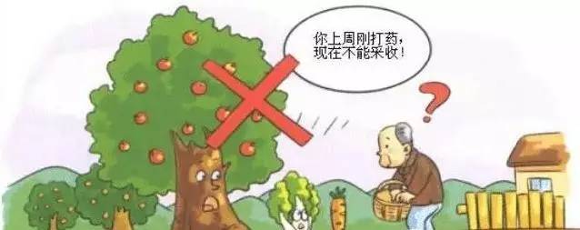  食品安全如何保證？