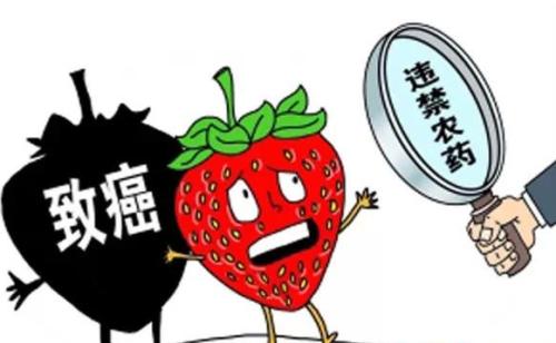 孩童的飲食安全如何注意？