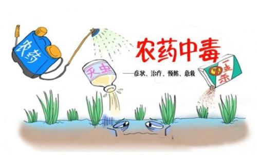 合適的蔬菜如何來選擇？