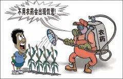 去除農(nóng)殘方法你知多少？